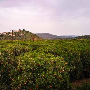 Monemvasia - April 2019