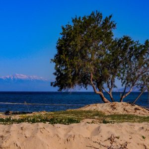 Elafonisos - May 2019