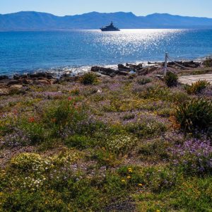 Elafonisos - May 2019