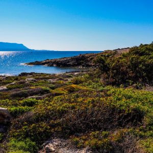 Elafonisos - May 2019