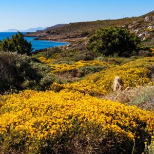 Elafonisos - May 2019