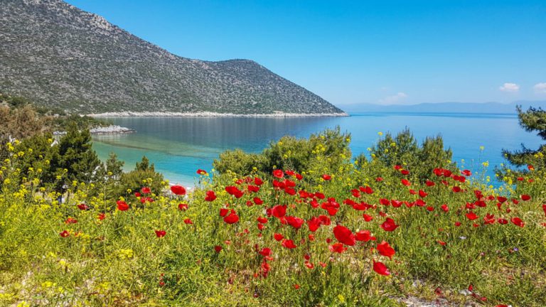 Exploring Tyros Village – and Christos Anesti!