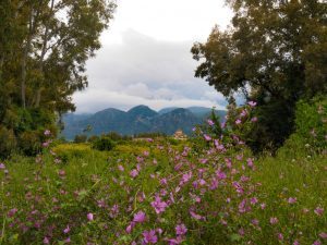 Leaving Elafonissos and on to Sparta