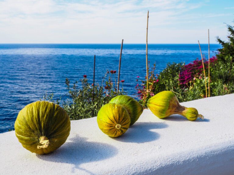 Barely Scratching the Surface of Ikaria