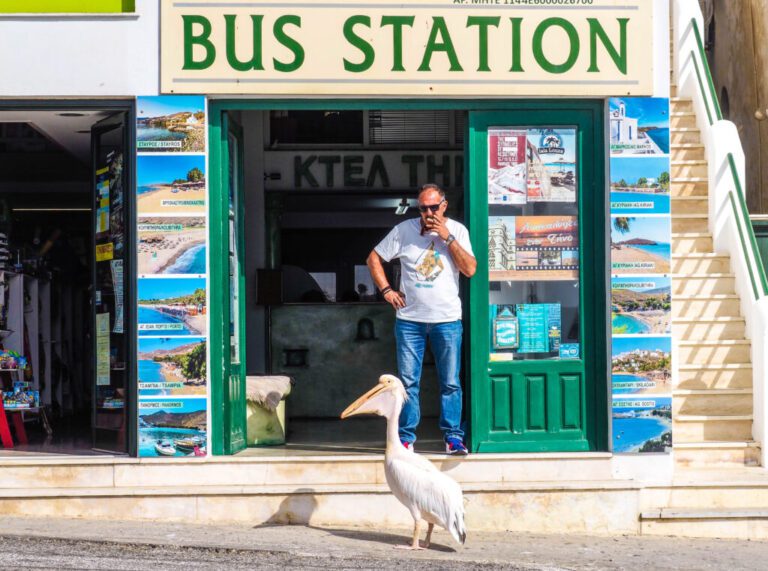 A Pelican Walks  into a Bus Station …  A Guided Tour of Tinos Island