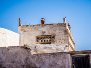 In Search of Dovecotes and Chimney Pots