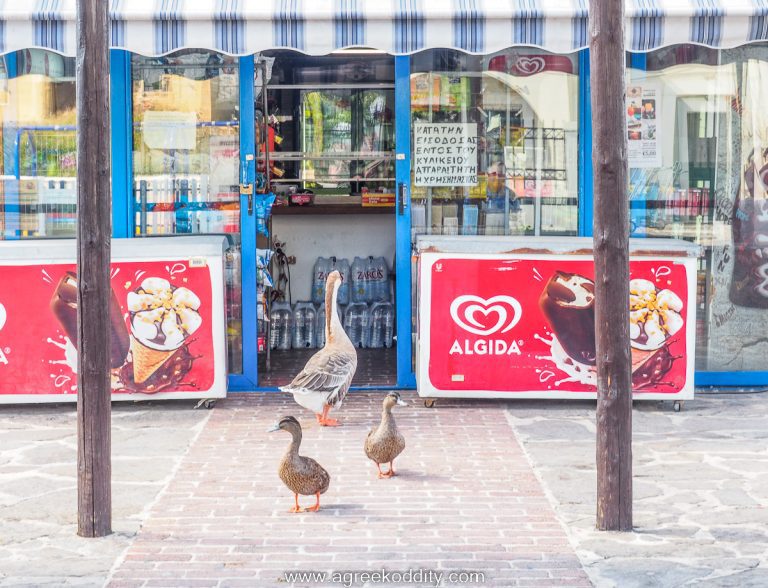 A Goose Walks Into a Minimarket
