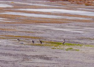 A Walk to the Petra Reservoir and my last Day in Molyvos