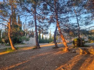 Following Monty Part 2 – Mount Hymettus Hiking and Raiment of the Soul, Acropolis Museum