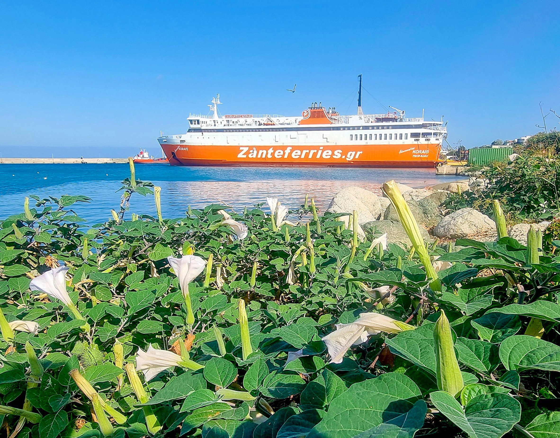 Leaving Samothrace and on to Alexandroupolis