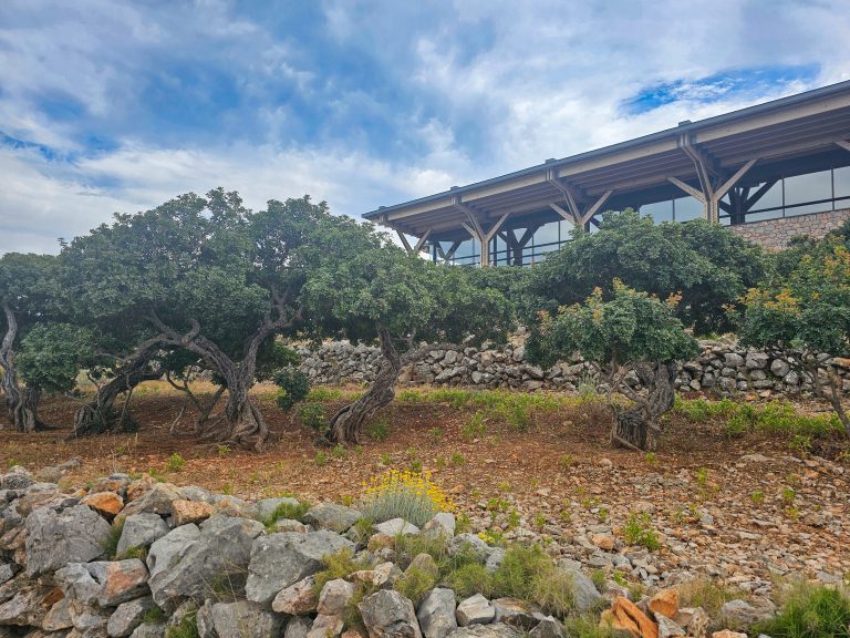 A Visit to the Chios Mastic Museum