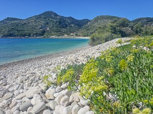Othonoi – Teacher, Saviour and Soul Soother