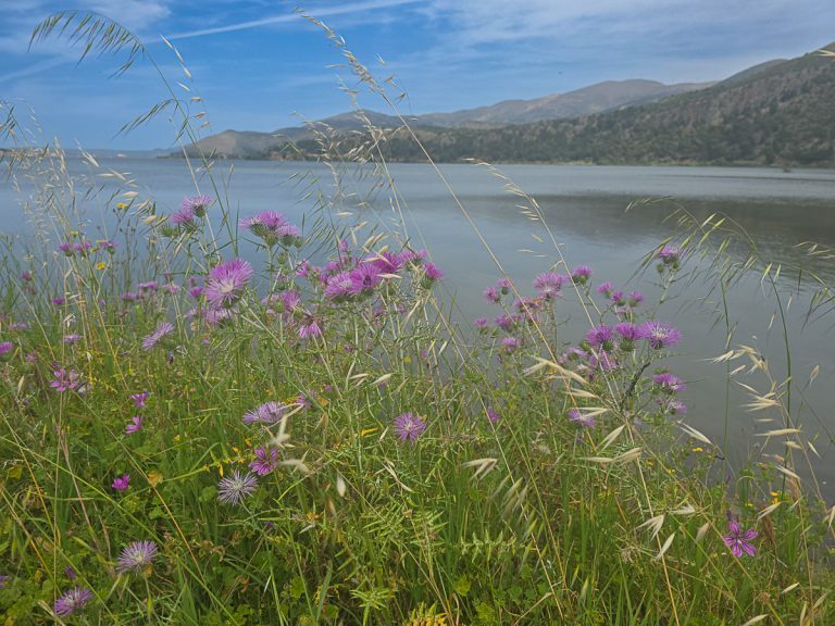 Circumnavigating the Koutavos Lagoon