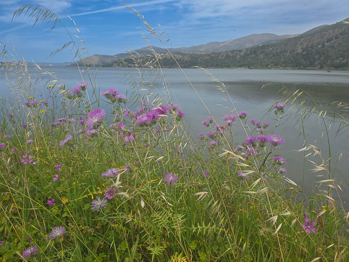 Circumnavigating the Koutavos Lagoon