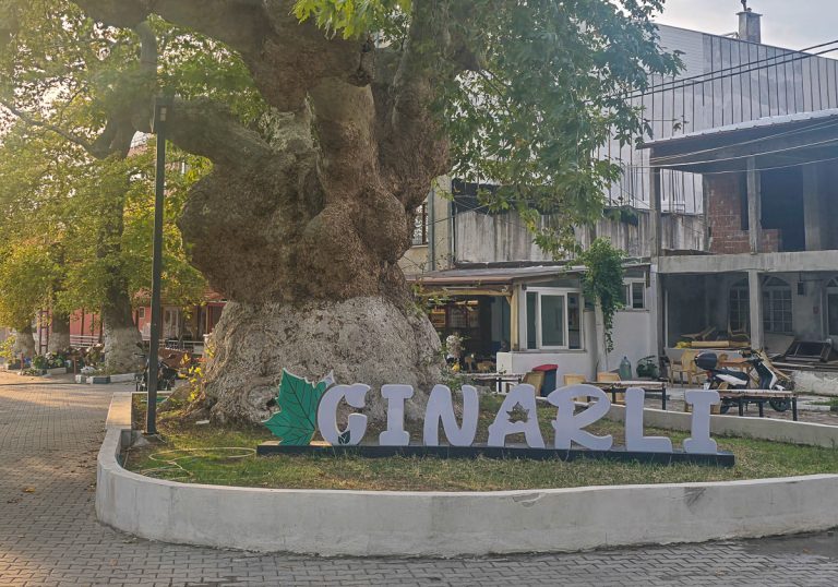 Visiting Çınarlı – the Village of Plane Trees and Springs