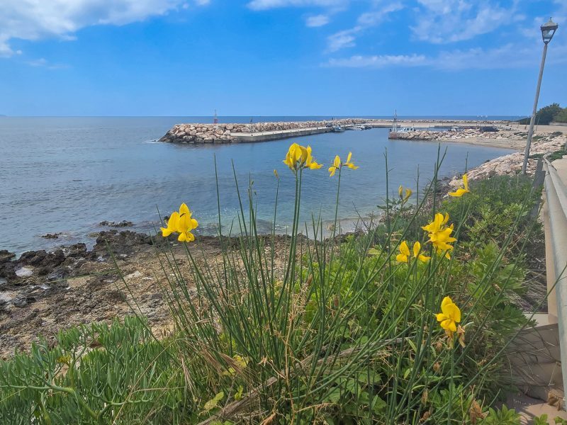 Beyond Preveza Town: A Walk That Spans Three Thousand Years