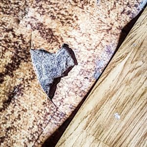 Traditional Kasiot House - Avanitochori