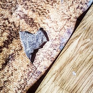 Traditional Kasiot House - Avanitochori