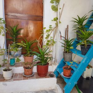 Traditional Kasiot House, Fri