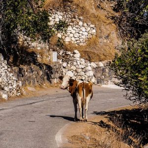 Nisyros
