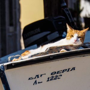 Symi
