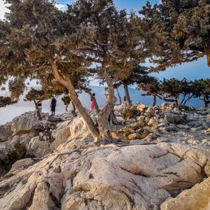 Rhodes - Pefkos and Beyond