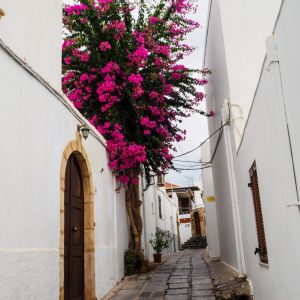 Rhodes - Pefkos and Beyond