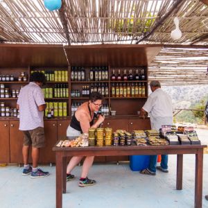 Rhodes - Pefkos and Beyond