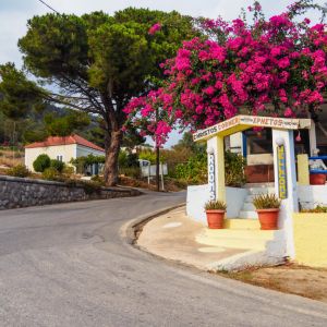 Rhodes - Pefkos and Beyond