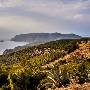 Rhodes - Pefkos and Beyond