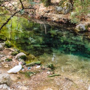 Rhodes - Pefkos and Beyond