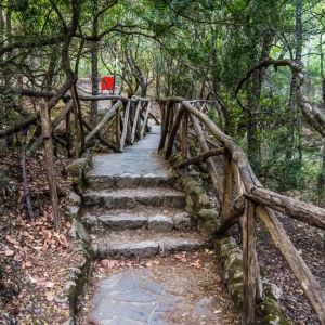 Rhodes - Pefkos and Beyond