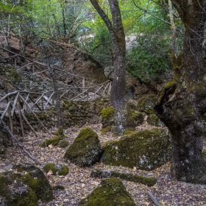 Rhodes - Pefkos and Beyond