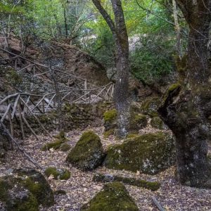 Rhodes - Pefkos and Beyond