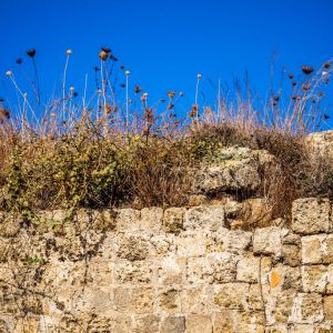 Rhodes Old Town 2018