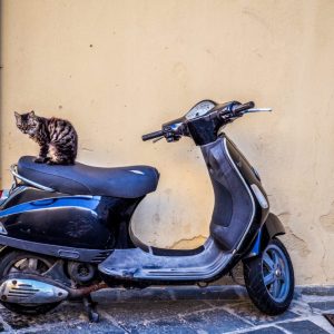 Rhodes Old Town 2018