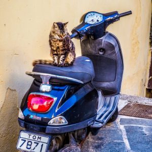 Rhodes Old Town 2018