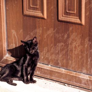 Rhodes Old Town 2018