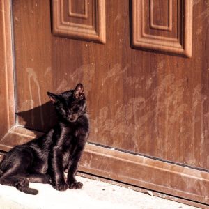 Rhodes Old Town 2018