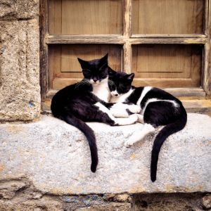 Rhodes Old Town 2018