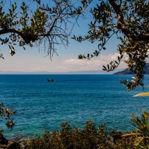 Kardamyli 2017