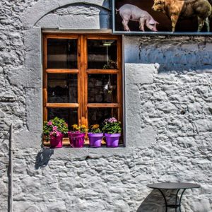 Kardamyli 2017