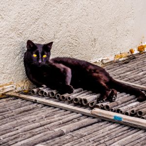 Monemvasia - April 2019