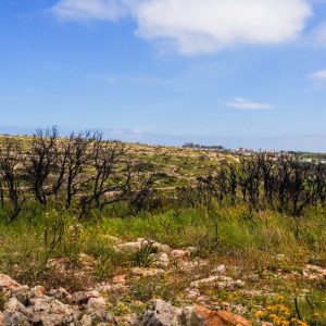 Kythira - May 2019