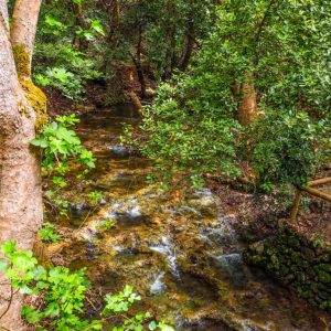 Kythira - May 2019