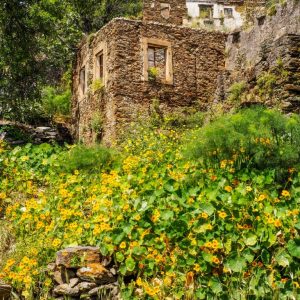 Kythira - May 2019