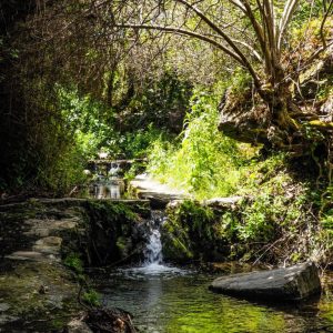 Kythira - May 2019