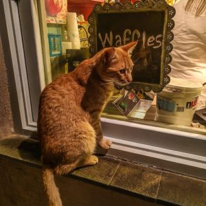 Monemvasia - April 2019