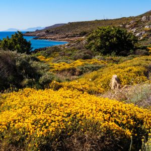 Elafonisos - May 2019