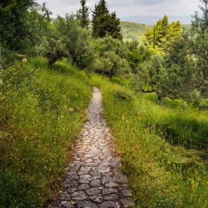 Sparta - May 2019